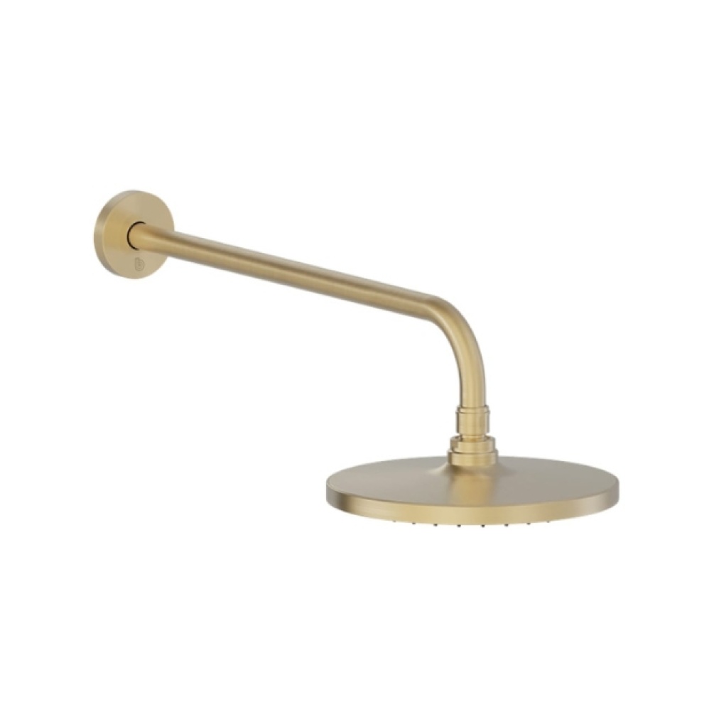 Cut out image of the Britton Hoxton 2.0 Brushed Brass Shower Head & Arm